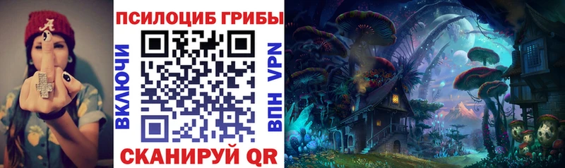 мега ССЫЛКА  Малаховка  Псилоцибиновые грибы Magic Shrooms 